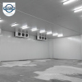 Sala fría de almacenamiento de alimentos LYJN Sala de almacenamiento fría de tomate de 5000 toneladas